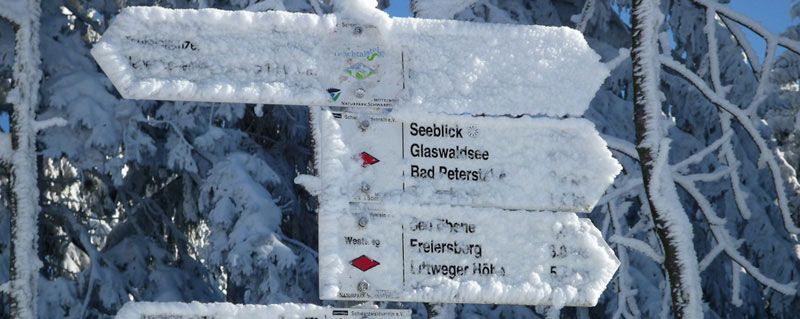 Schwarzwald-Ferienwohnung im Mülben